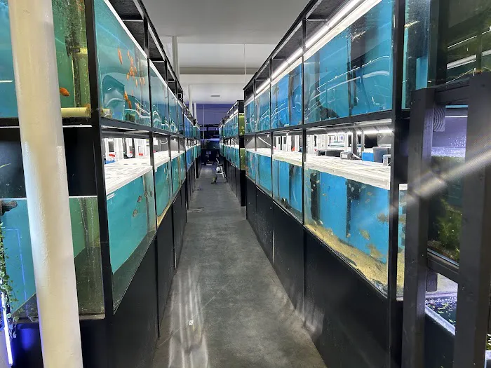 Exotic Aquarium Picture 3