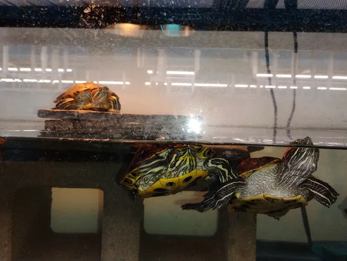 Exotic Aquarium Picture 5