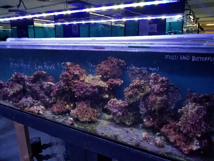 Exotic Aquarium Picture 2