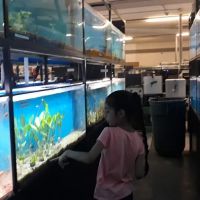 Exotic Aquarium ico