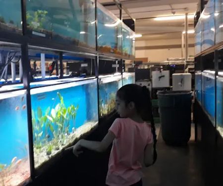 Exotic Aquarium