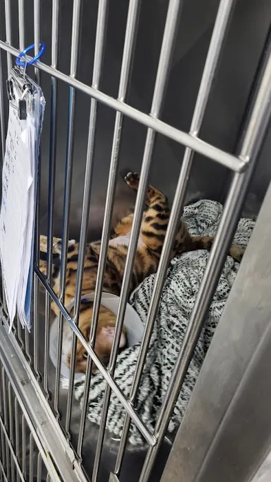 Animal Hospital of Elmont Picture 10
