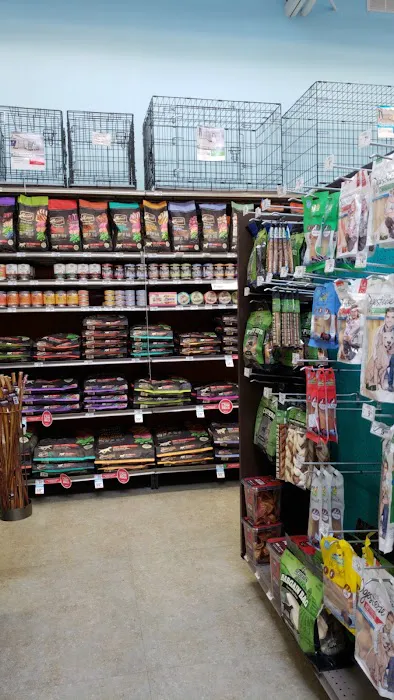 Petco Picture 2
