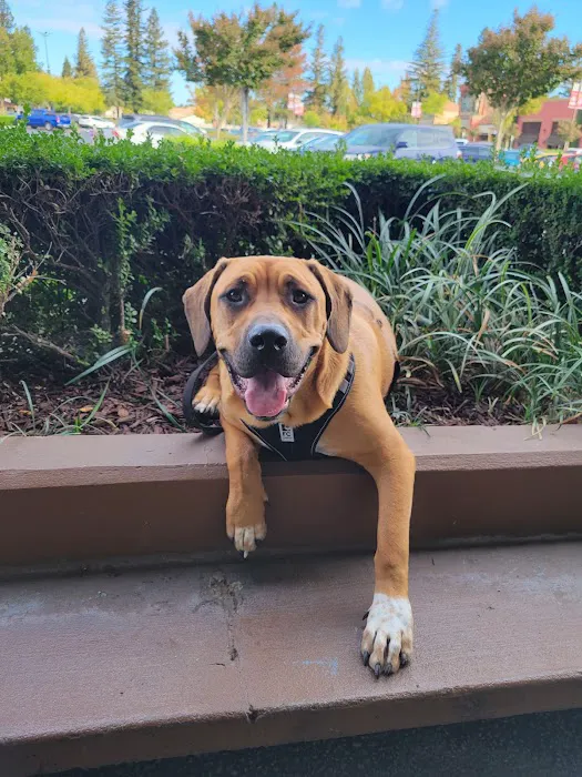 Petco Picture 9
