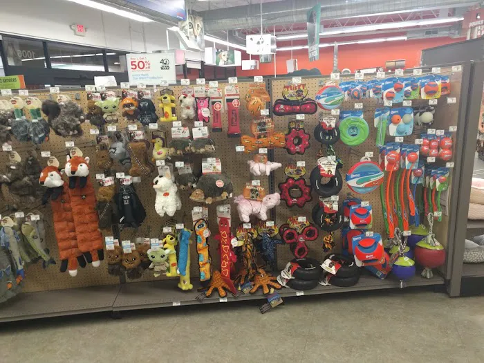 Petco Picture 7