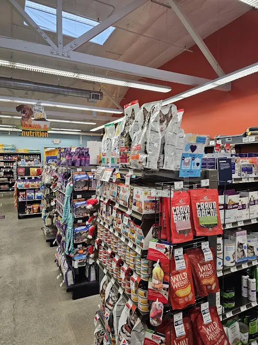 Petco Picture 1