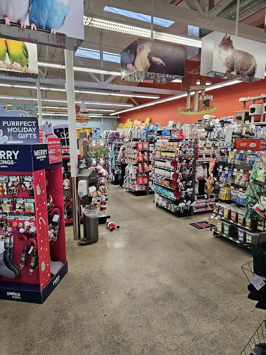 Petco Picture 9