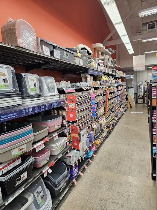 Petco Picture 5