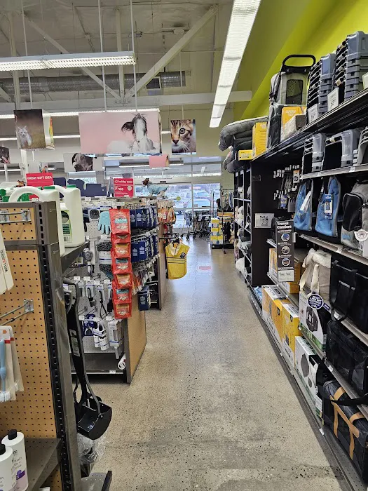 Petco Picture 4