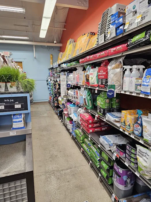 Petco Picture 7