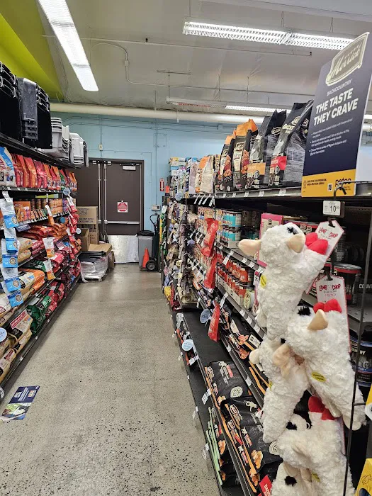 Petco Picture 10