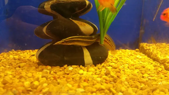Banfield Pet Hospital Picture 5