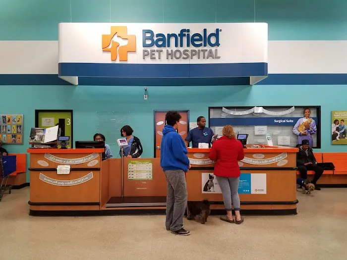 Banfield Pet Hospital Picture 6
