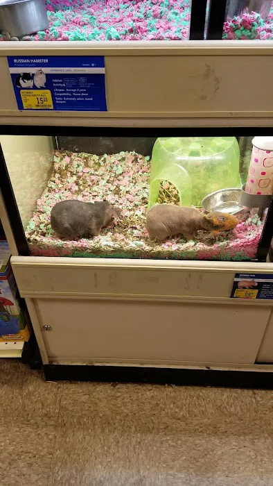 Banfield Pet Hospital Picture 9
