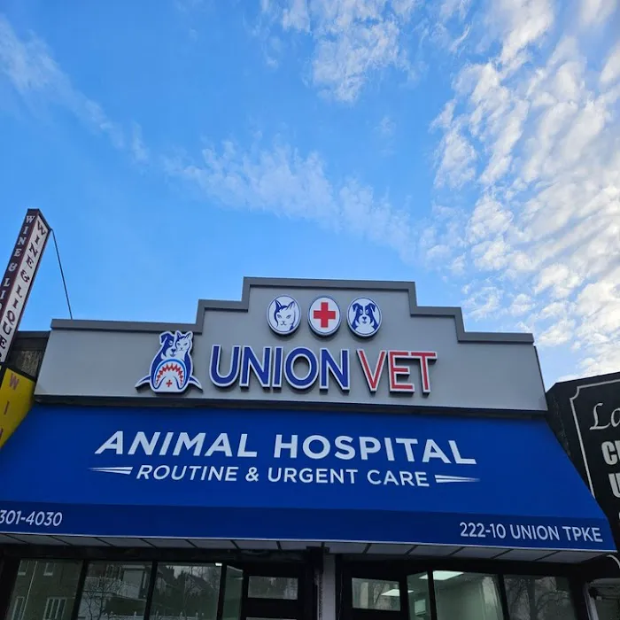 Union Vet Picture 10