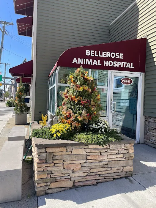 Bellerose Animal Hospital Picture 4