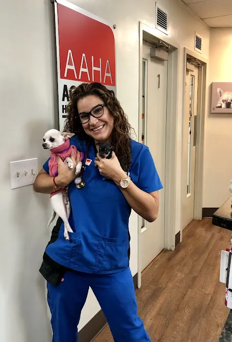 Bellerose Animal Hospital Picture 5