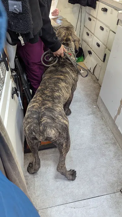Animal Adoption Veterinary Center Picture 4