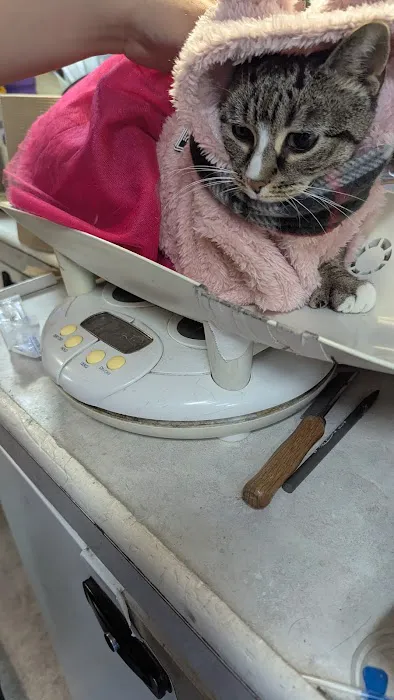 Animal Adoption Veterinary Center Picture 1
