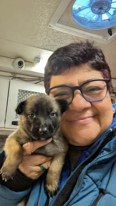 Animal Adoption Veterinary Center Picture 5