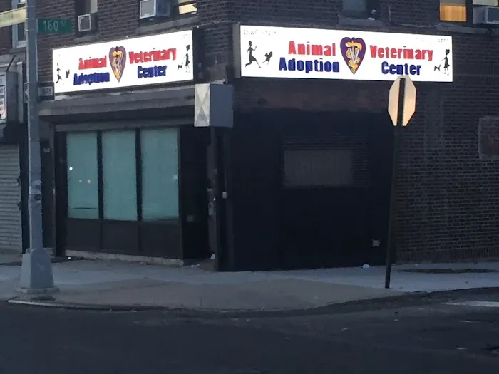 Animal Adoption Veterinary Center Picture 8