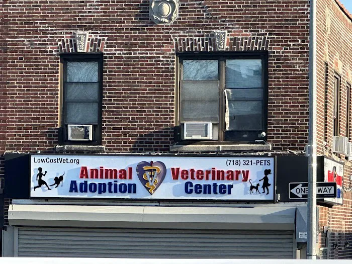 Animal Adoption Veterinary Center Picture 9