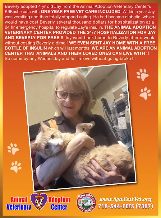 Animal Adoption Veterinary Center Picture 10