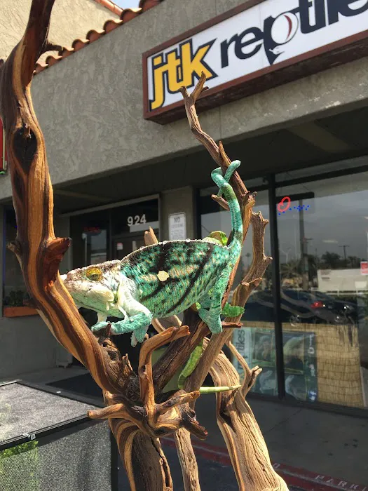 JTK Reptiles Picture 1