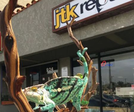 JTK Reptiles