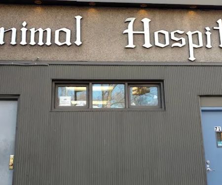 Heights Animal Hospital