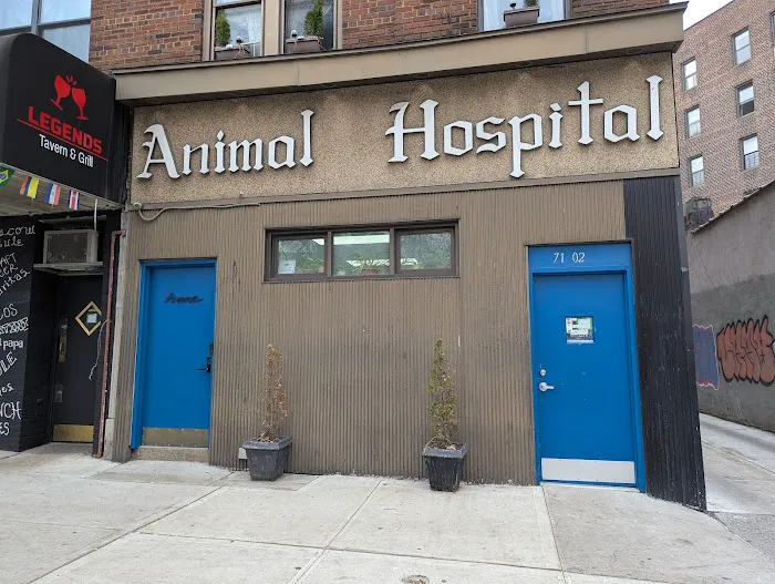 Heights Animal Hospital Picture 4