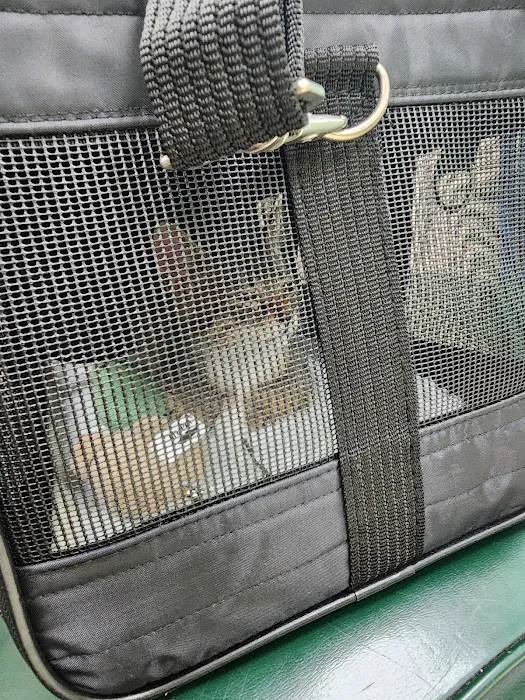 Heights Animal Hospital Picture 9