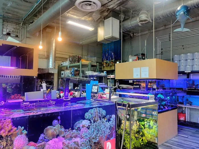Age of Aquariums Picture 2