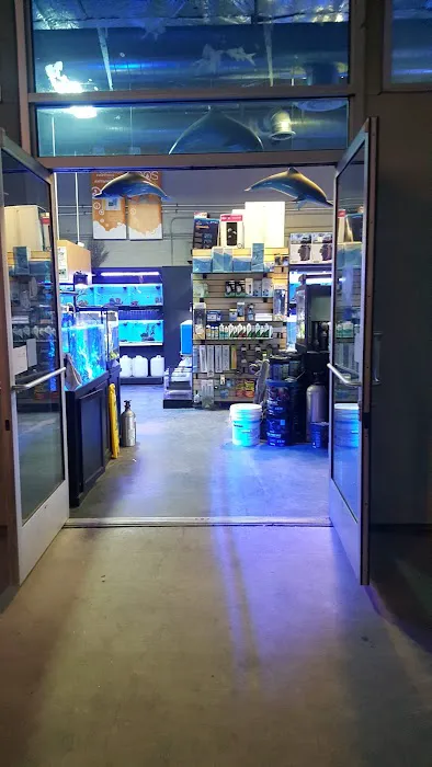 Age of Aquariums Picture 3