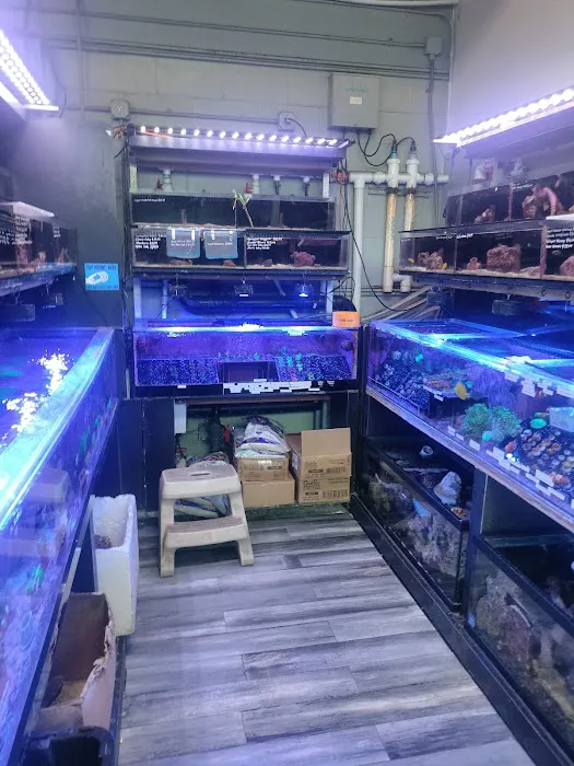 Age of Aquariums Picture 5