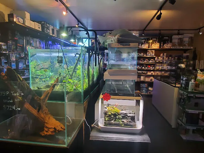 Age of Aquariums Picture 6