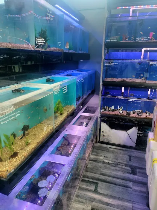 Age of Aquariums Picture 7