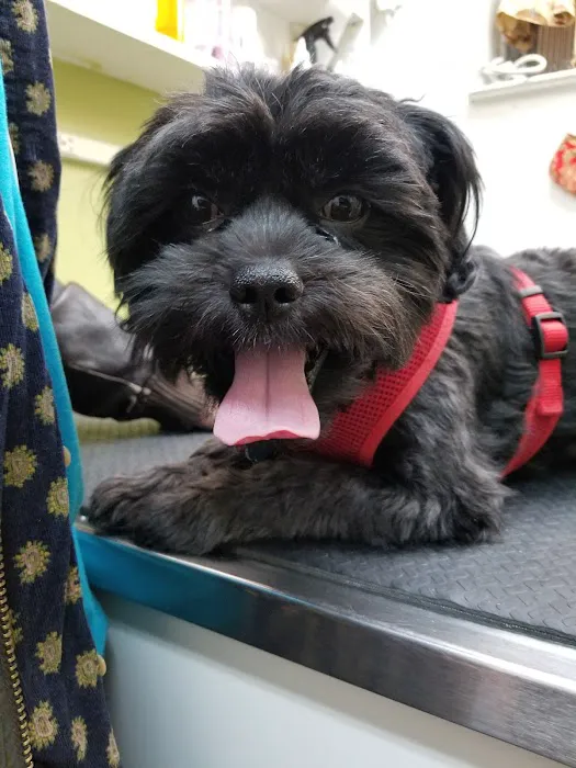 Noah's Ark Pet Clinic Picture 2