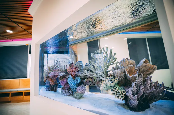 Oceans Aquarium Design Picture 3