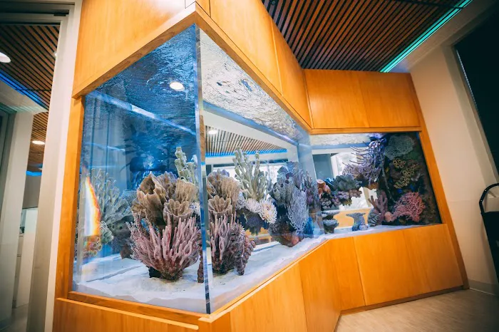 Oceans Aquarium Design Picture 1