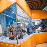 Oceans Aquarium Design ico