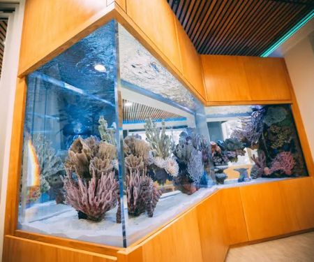 Oceans Aquarium Design