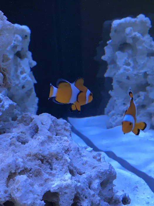 Oceans Aquarium Design Picture 5