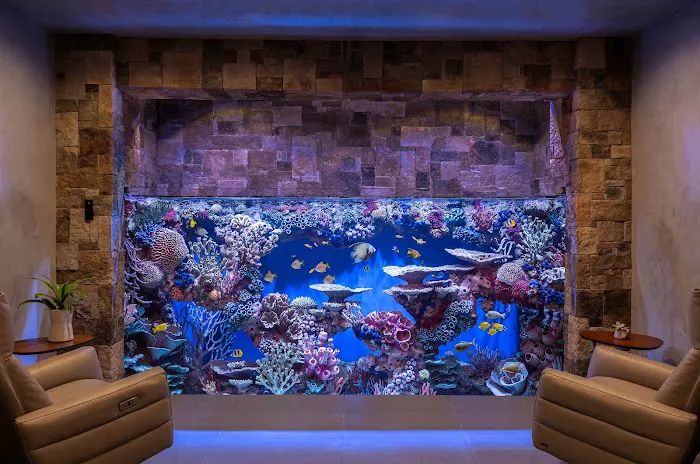 Oceans Aquarium Design Picture 10