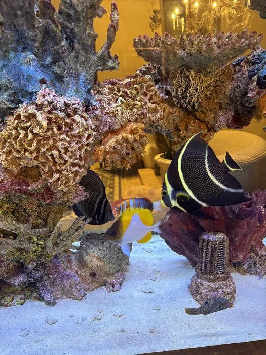 Oceans Aquarium Design Picture 9