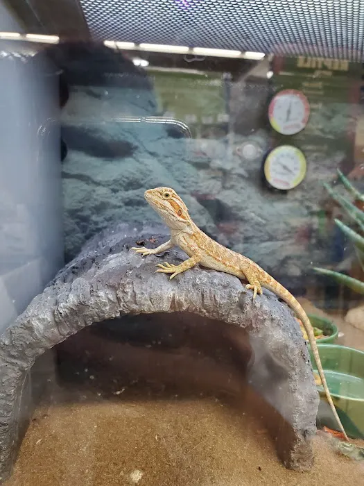 Petco Picture 2