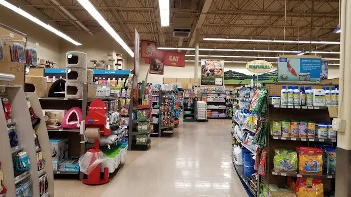 Petco Picture 3