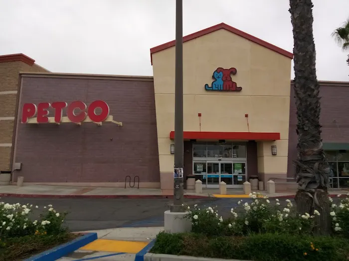Petco Picture 1