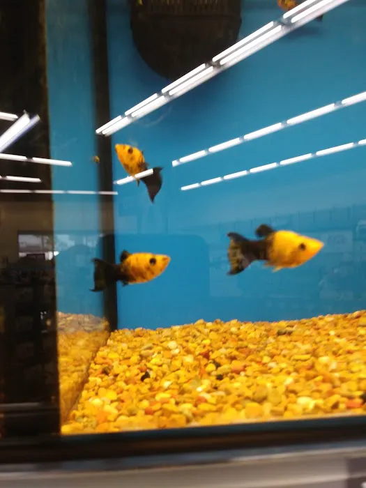 Petco Picture 4