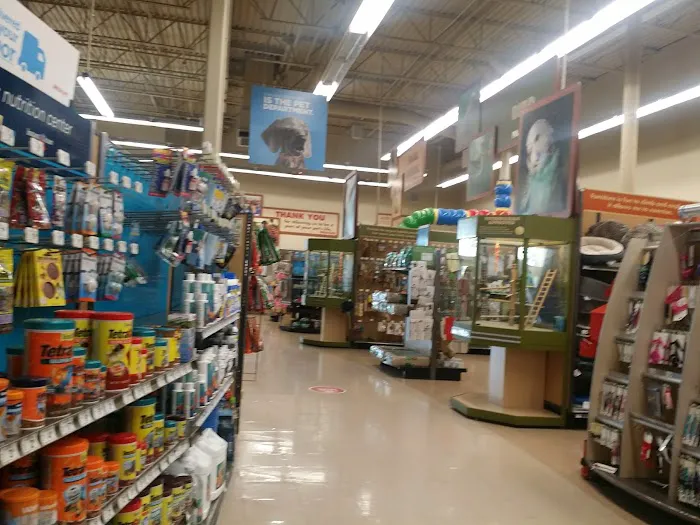 Petco Picture 7